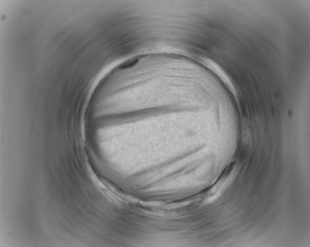 X0000065251388200603131117