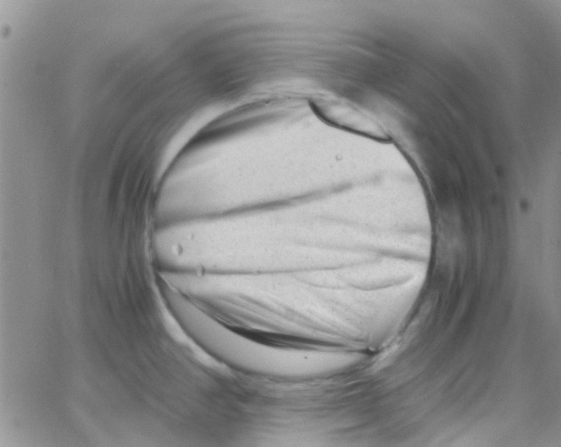 X0000065251390200603131117