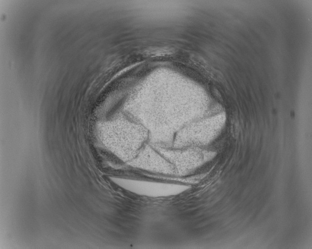 X0000065251393200603131116