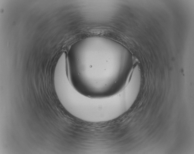 X0000065251394200603131116