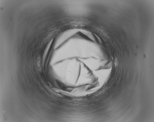 X0000065251396200603131116