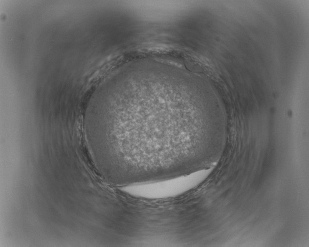 X0000065251397200603131116