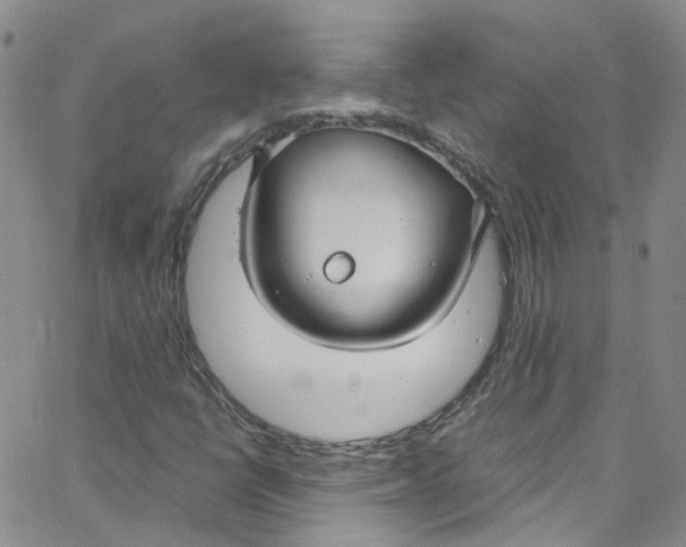 X0000065251398200603131116