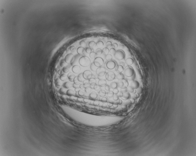 X0000065251400200603131116