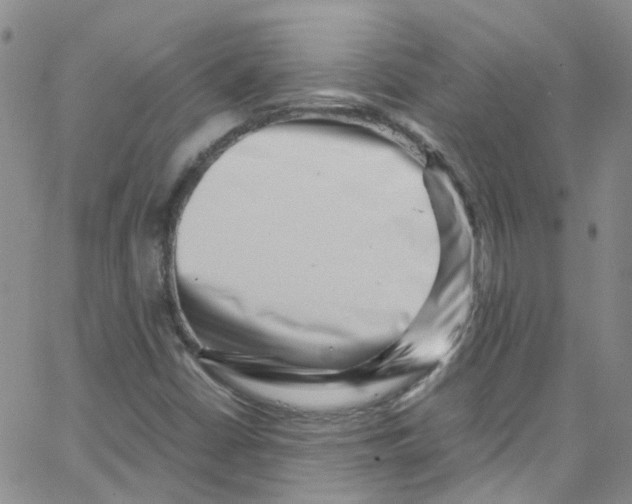 X0000065251402200603131116