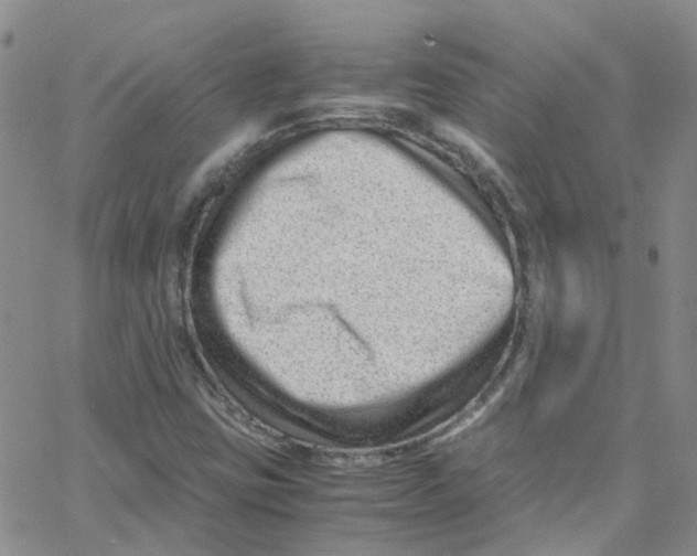 X0000065251403200603131116