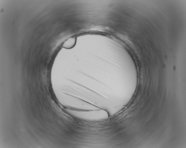 X0000065251404200603131116