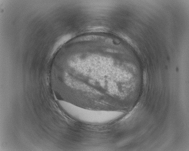 X0000065251405200603131116