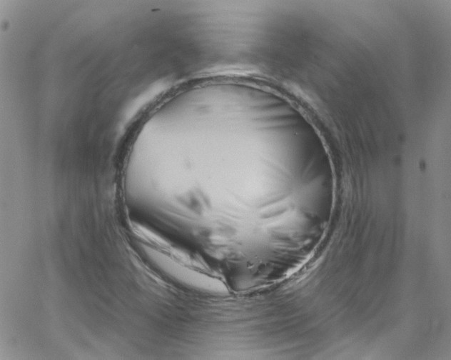 X0000065251406200603131116