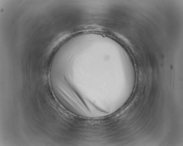 X0000065251407200603131116