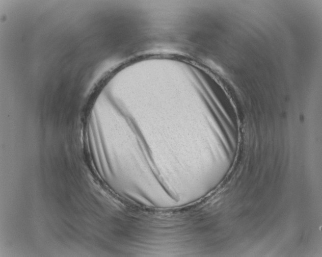 X0000065251408200603131116