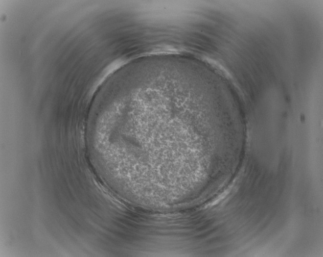 X0000065251409200603131116