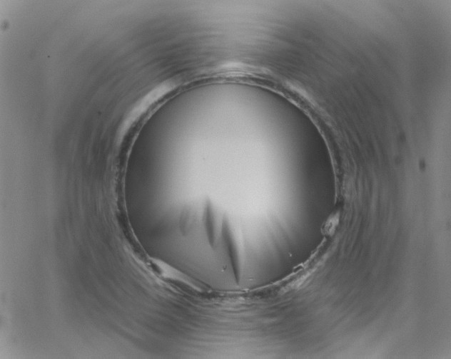 X0000065251410200603131116