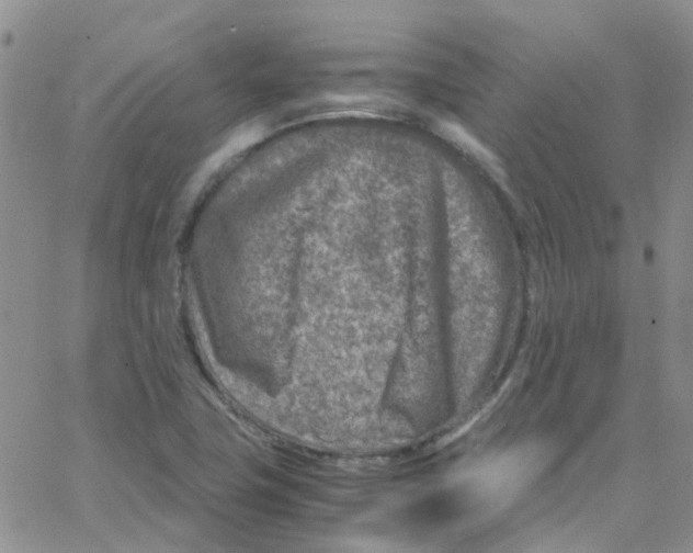 X0000065251411200603131116