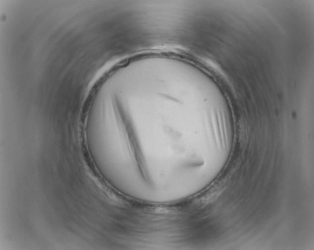 X0000065251412200603131116