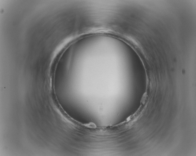 X0000065251414200603131116