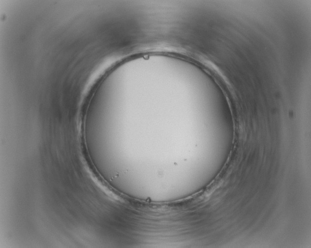 X0000065251416200603131116