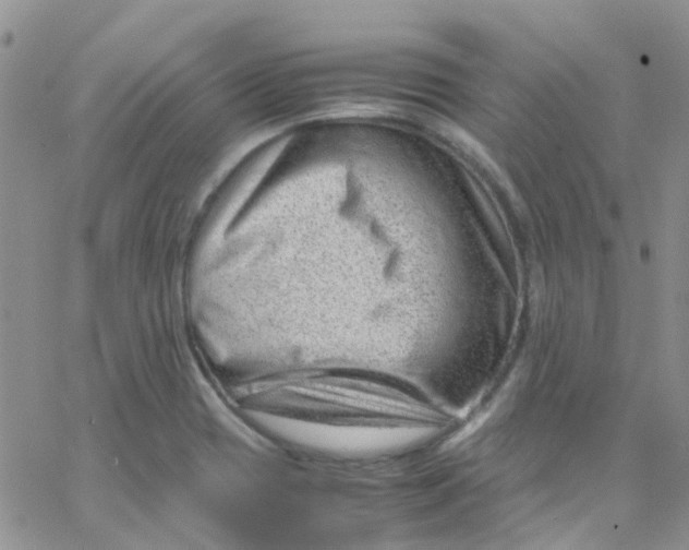 X0000065251417200603131116