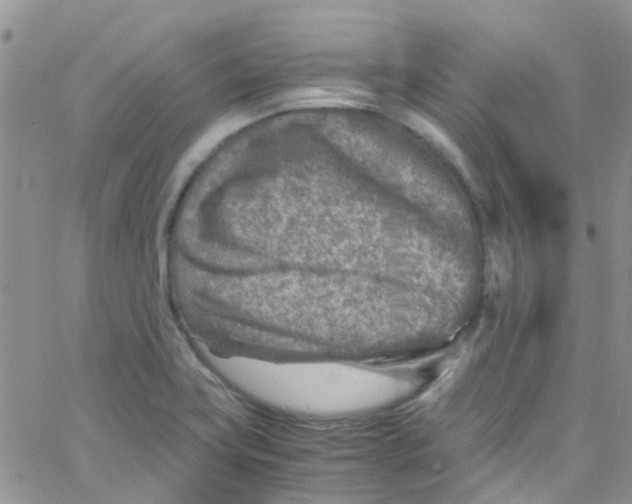 X0000065251419200603131116