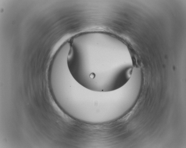 X0000065251422200603131116