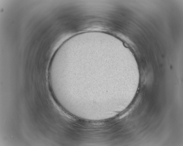 X0000065251423200603131116