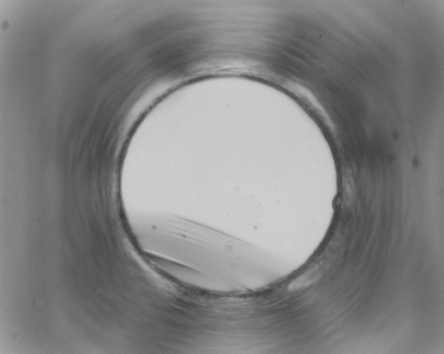 X0000065251424200603131117