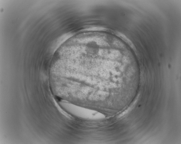 X0000065251425200603131117