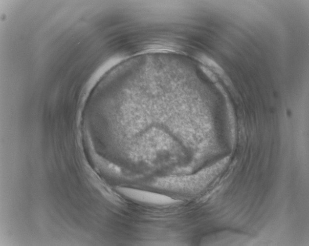 X0000065251427200603131117