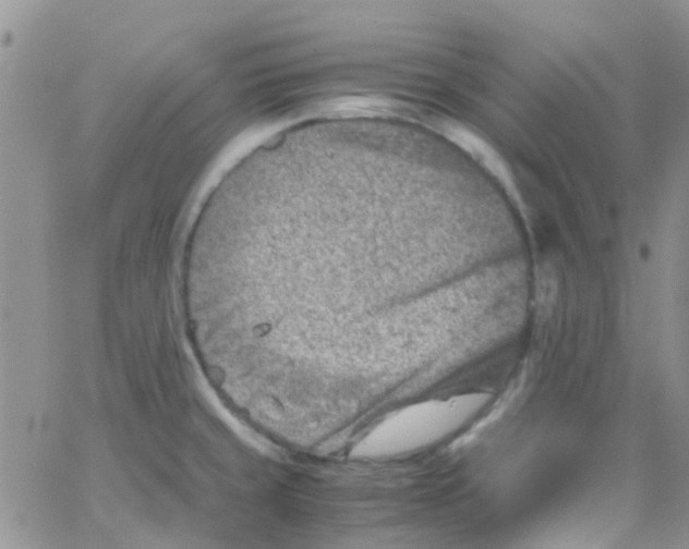 X0000065251429200603131117