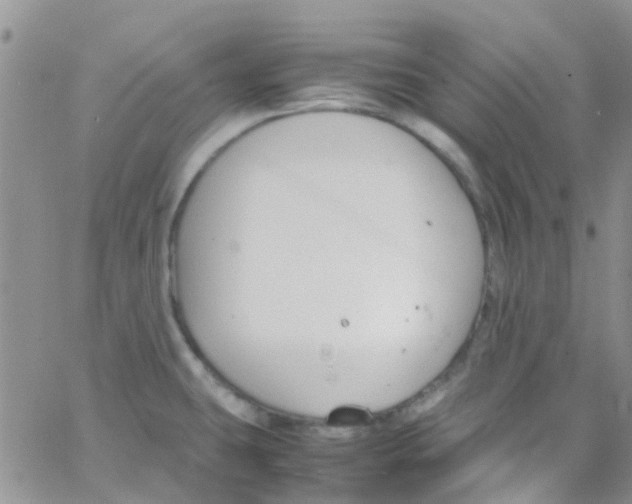 X0000065251431200603131117