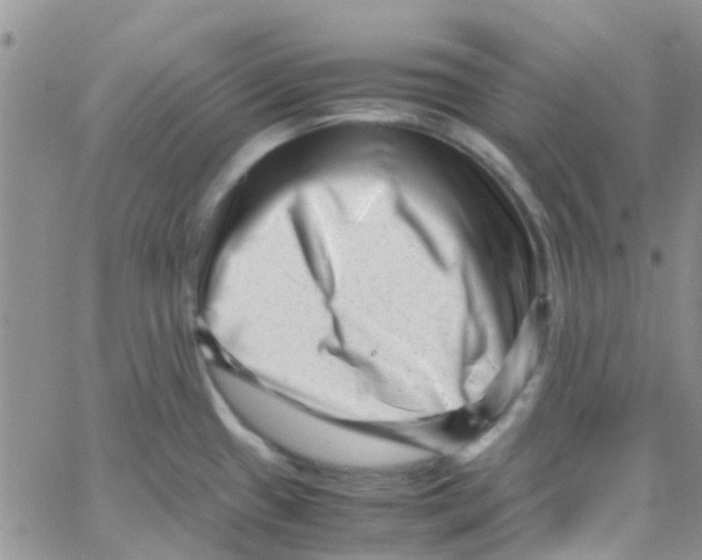 X0000065251433200603131117