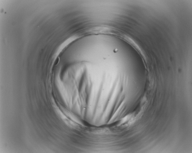 X0000065251434200603131117