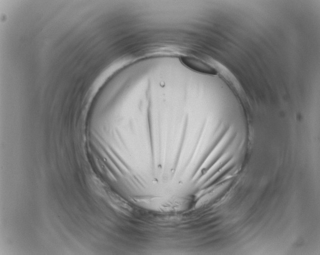 X0000065251435200603131117