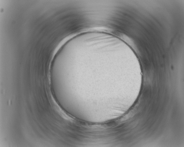 X0000065251436200603131117