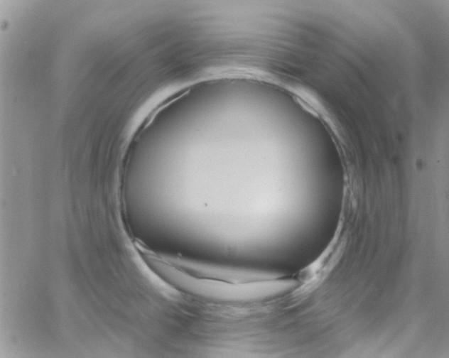 X0000065251438200603131117