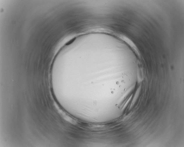 X0000065251439200603131117