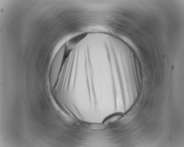 X0000065251440200603131117