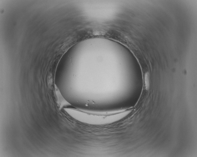 X0000065251443200603131116