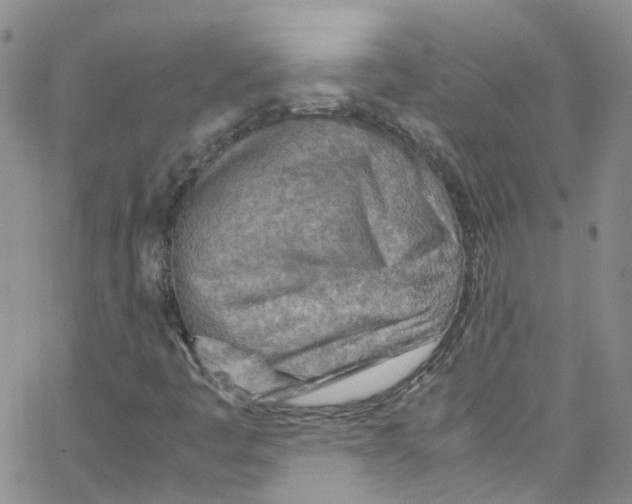 X0000065251445200603131116