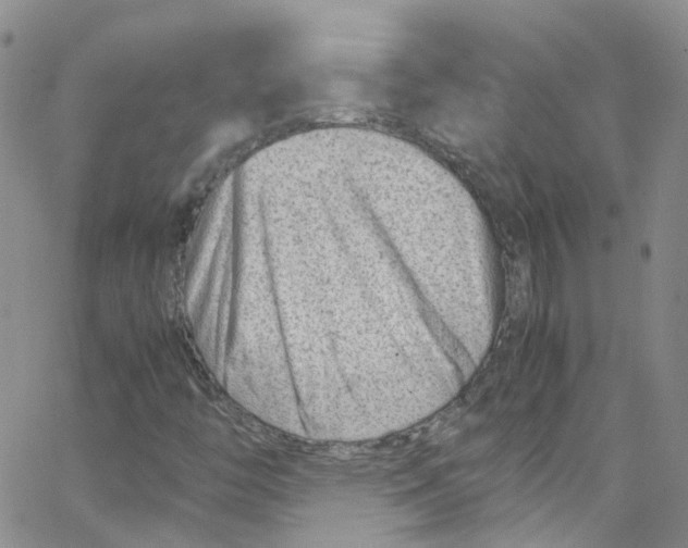 X0000065251446200603131116