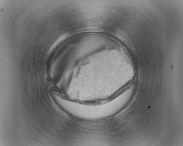 X0000065251450200603131116