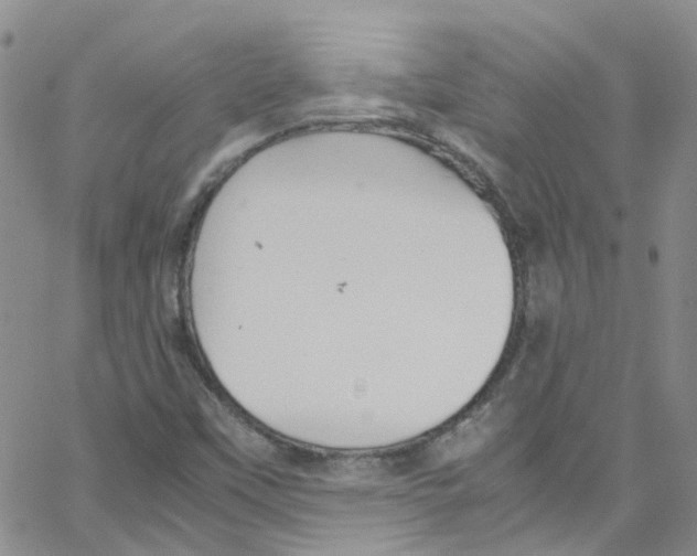 X0000065251451200603131116