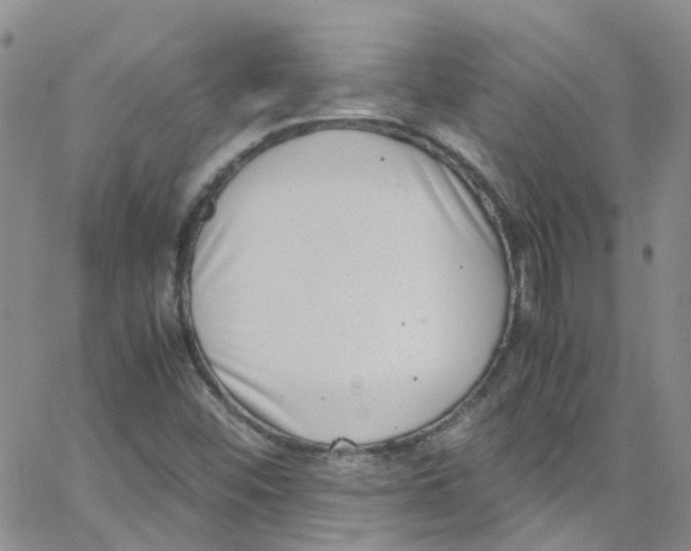 X0000065251452200603131116