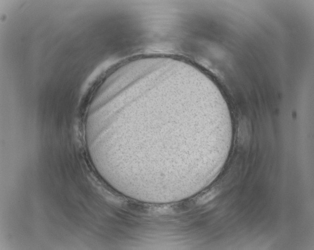 X0000065251454200603131116