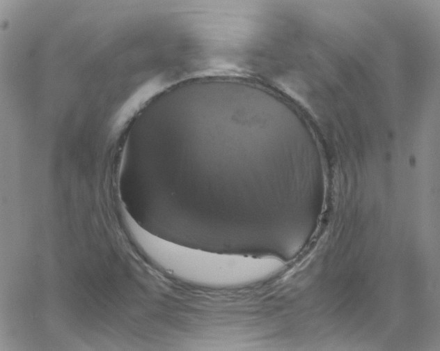 X0000065251455200603131116