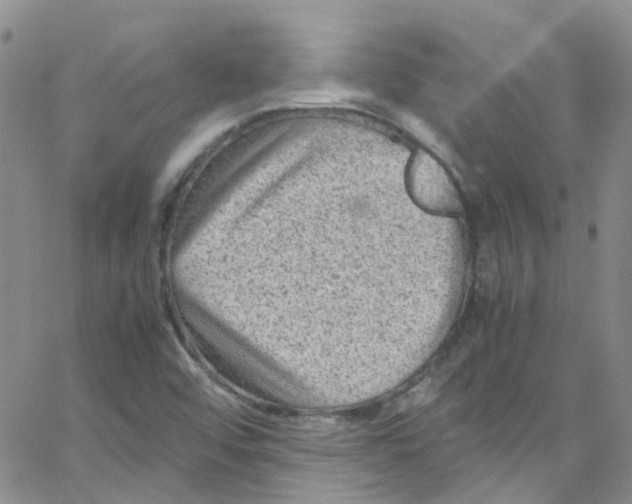 X0000065251456200603131116