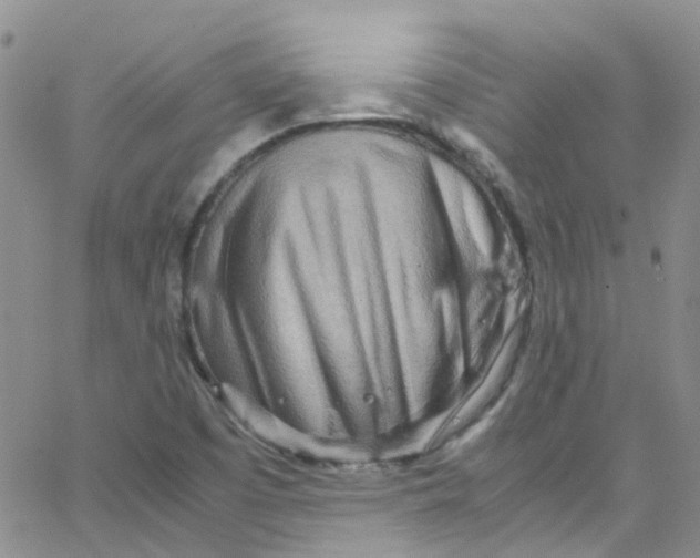 X0000065251457200603131116