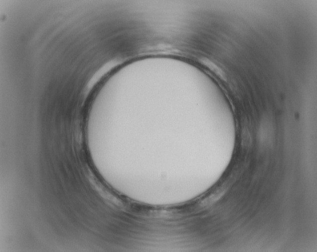 X0000065251458200603131116