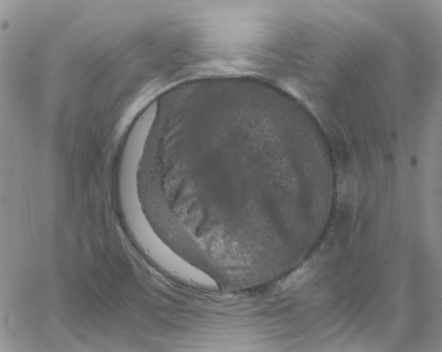 X0000065251459200603131116