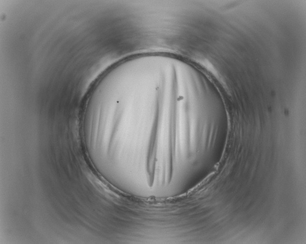 X0000065251460200603131116